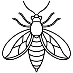 Firefly line art vector