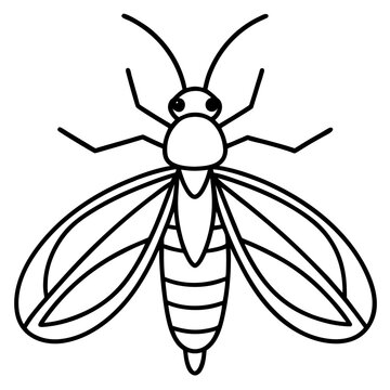 black and white insect outline clip art preview