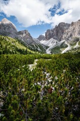 mountain landscape in the alps