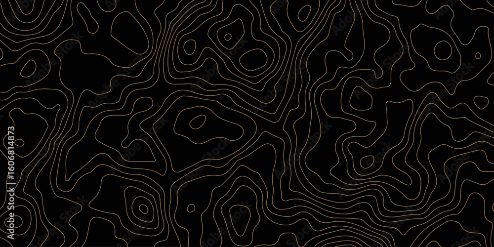 Poster topographic map background geographic line map with elevation assignments. geographic contour map pa