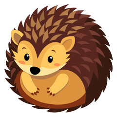 hedgehog cartoon illustration