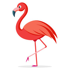 flamingo vector illustration