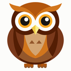 owl on white background