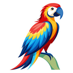 blue and yellow macaw ara