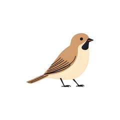 Obraz premium Illustration of a small brown bird with a black patch standing on its feet