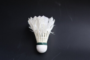 Shuttlecock used in badminton, featuring cork base and feathered skirt, ideal for sports...