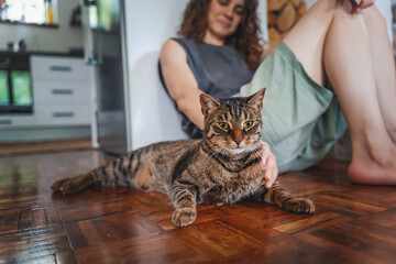 Young caucasian woman petting tabby cat sitting on floor at home