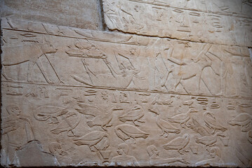 Relief showing geese and animals from the Mastaba of Kagemni, vizier of Pharaoh Teti, Saqqara Necropolis, Egypt, 6th Dynasty.