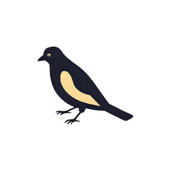 Obraz premium Illustration of a black bird with a yellow patch standing on a white background