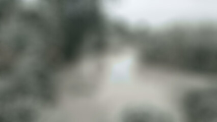 Abstract Background, Agriculture and Livestock Canal, Gradient Black and White Soft Blurred, Asian Country, River, Water, Nature, Landscape, Stream, Lake, Tree, Green, Summer, Grass, Forest, Sky, Refl