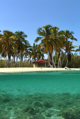 a paradise island in the Caribbean Sea