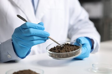Scientist taking soil sample for research at white table in laboratory, closeup