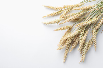 Many wheat spikes on white background, flat lay. Space for text