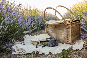 Wicker picnic basket, open book, lavender bouquet, and straw hat on blanket in blooming lavender...