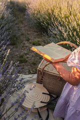 Woman in lavender field reading an open book in warm evening light. Straw hat, bouquet, and wicker...