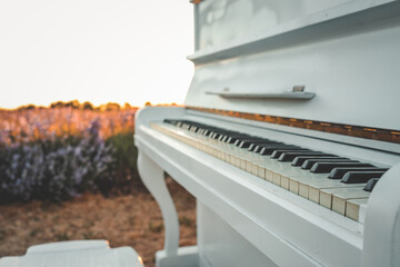 Vintage white piano in lavender field at sunset. Musical instrument outdoors in warm golden light...