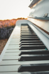 Close-up of piano keys with soft sunset light. Artistic shallow focus on black and white keys,...