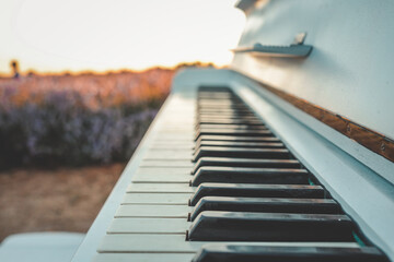 Vintage white piano in lavender field at sunset. Musical instrument outdoors in warm golden light...