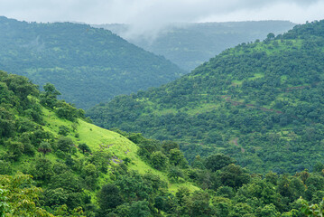 Fototapeta premium Tranquil nature landscape, serene environment, hills of Sahayadri, during monsoon season, nature background for wallpaper, website or poster design, Maharashtra, India.