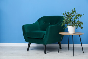 Comfortable armchair and houseplant near blue wall indoors