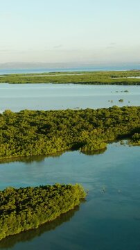Drone view of Wildlife Sanctuary in Lapu-Lapu. Tropical rainforest with sunset. Olango Island, Cebu. Vertical view.