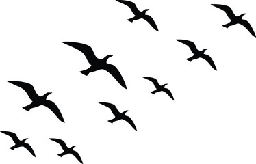 A flock of silhouette seagulls flying in formation across a clear sky isolated on transparent background