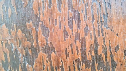 A close-up of cracked and peeling varnish on an old wooden surface. Grungy, abstract texture background.