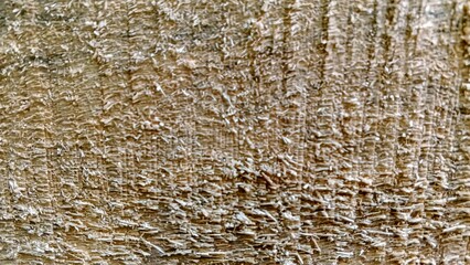 Macro photo of a rough sawn wood surface with fibrous splinters. Natural timber texture background.