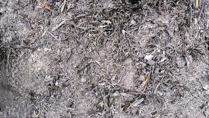 Top down view of ash and burnt embers from a bonfire. Natural abstract texture background ideal for...