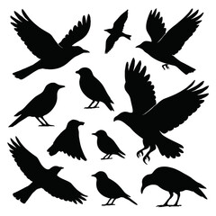 Obraz premium Collection of Flying Crow Silhouettes