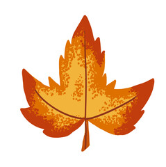 Autumn dry maple leaf with jagged edge and noise texture in flat style. Fall vector illustration