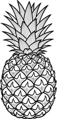 Pineapple Fruit Illustration in Vintage Engraving Style. Black and White Line Art.
