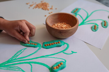 Child making a plant-themed craft using green modeling clay and dried lentils on white paper....