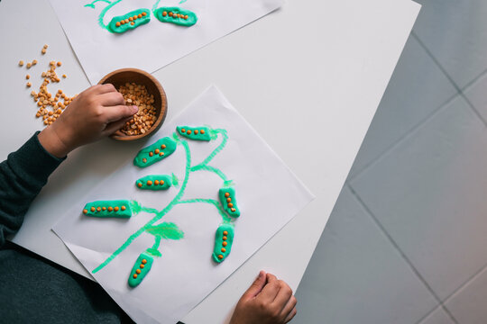 Top view of a child crafting a green plant using modeling clay and lentils. The hand reaches for a wooden bowl filled with grains, creating an educational and fun activity on white paper