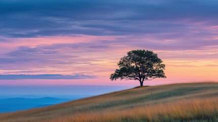 Obraz premium Lone tree stands on rolling hill under pastel dawn sky, with soft clouds and distant blue mountains creating peaceful and serene natural landscape