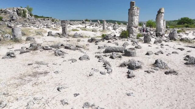 Aerial view of Pobiti Kamani (Stone Forest), 50 mln year old rock formation, Bulgaria