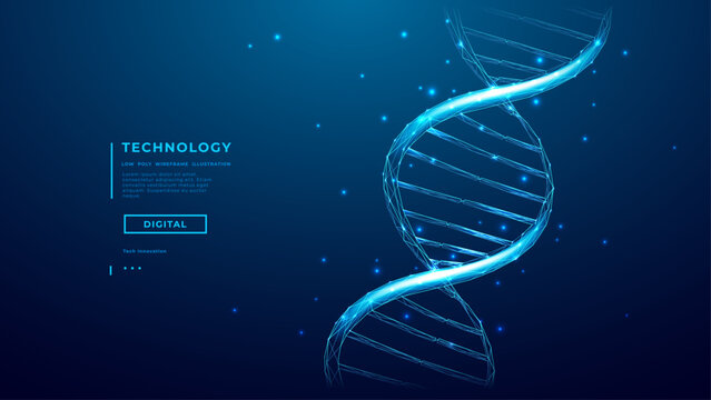 Abstract DNA double helix on technology blue background. Science, Medical, and AI technology concept. Biotechnology DNA molecule in low poly wireframe style. Futuristic Digital Vector Illustration.