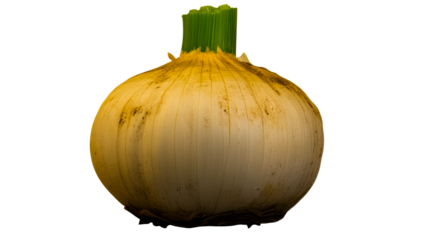 Whole yellow onion with green top, fresh produce, cut out transparent