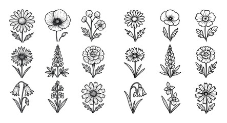 Hand-Drawn Flower Icons