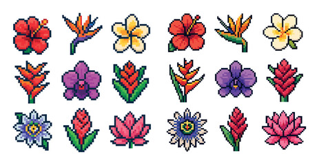 Tropical Flower Icons