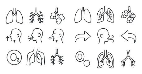 Lung Anatomy Icons