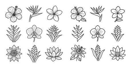 Tropical Flower Icons
