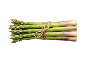 A fresh bundle of vibrant green asparagus spears, crisp texture, tied with rustic brown twine, horizontally isolated on a plain white background with bright studio lighting from a high angle, concept