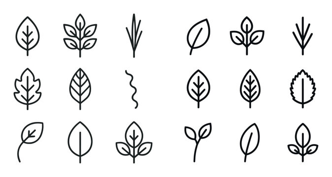 Botanical Icon Grid
