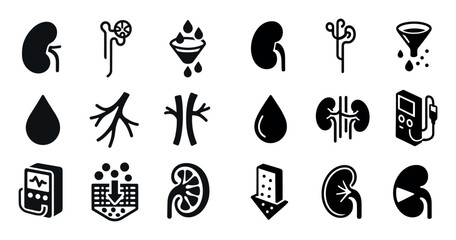 Kidney Anatomy Icons
