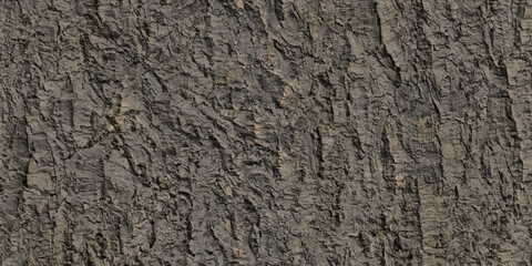 Dry Cork Oak Bark Texture