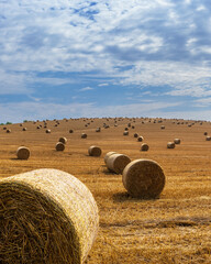 Hay bales in Hungary. A very large field full of hay bales with a cloudy sky in the background.