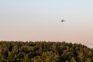 Commercial airplane flying above forest treeline at sunset golden hour