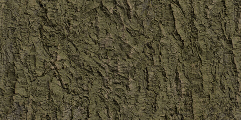 Mossy Cork Oak Bark Texture
