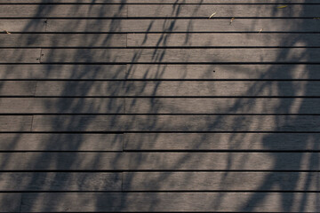 shade of tree branches lay down on a wooden plank floor walking way